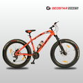 Fat Bike 26 x 4.00